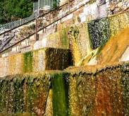 Курорт Терме Вальдиери, Италия, «плантации» термальных водорослей