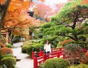 ������, Fujiya Hotel �  ����� ������ �����������